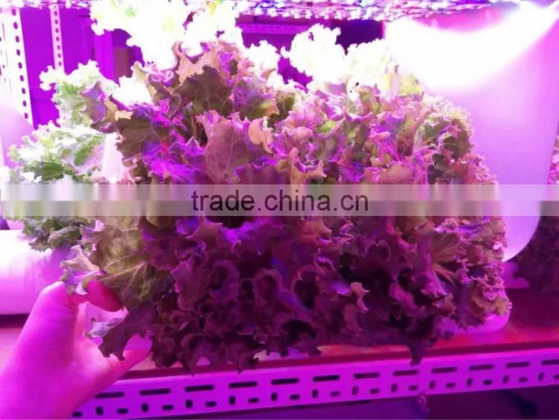 4ft 30W LED grow lights bar replacing t5 lowes fluorescent light fixtures