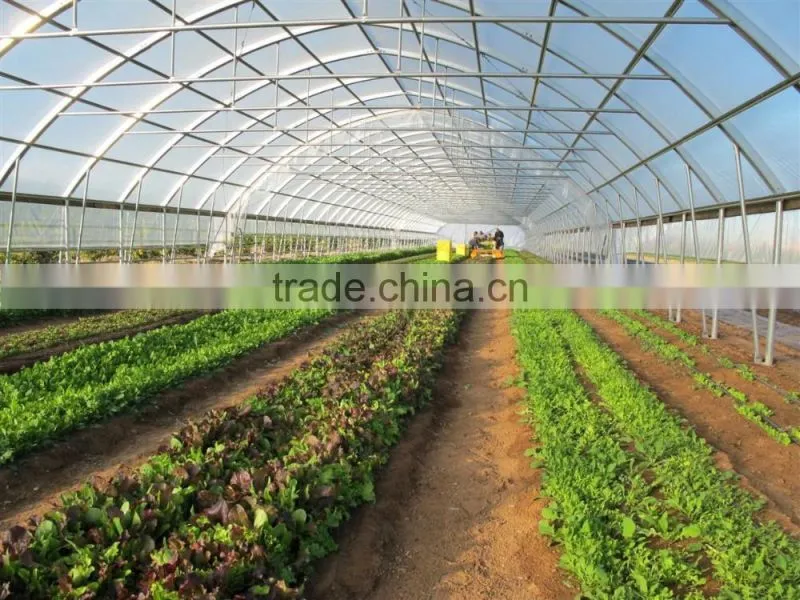 Cheap Tunnel Vegetable Greenhouse With Shading Screen