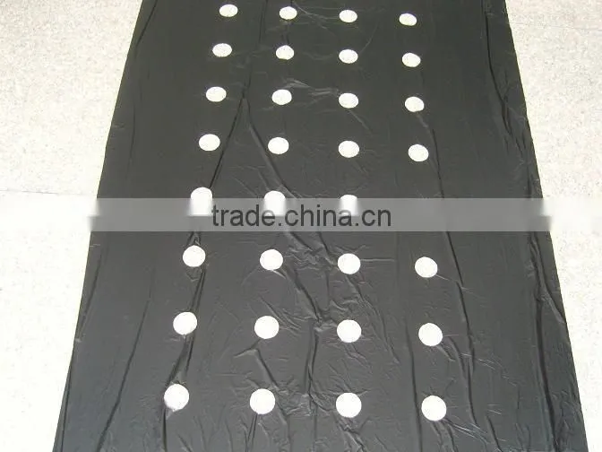 plastic agricultural film with 4.5cm holes