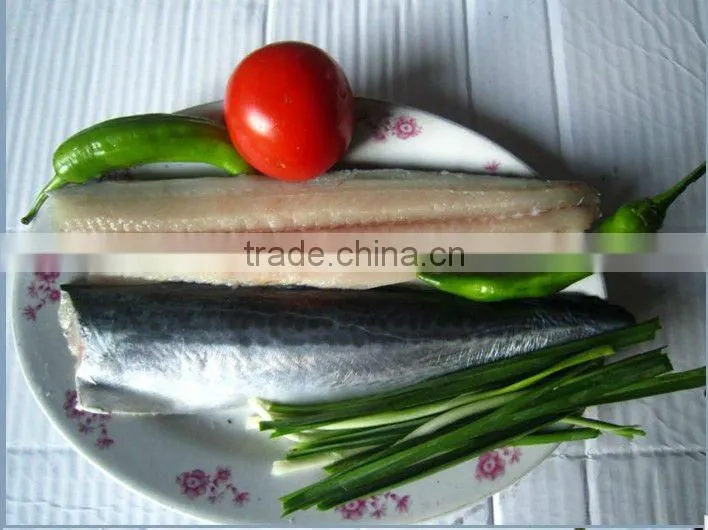 frozen spanish mackerel fillet