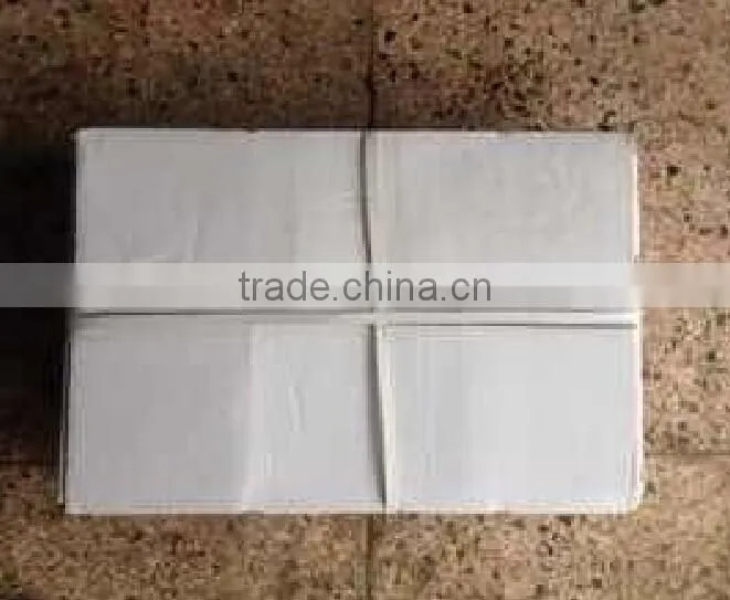 Frozen Giant Squid Fillet