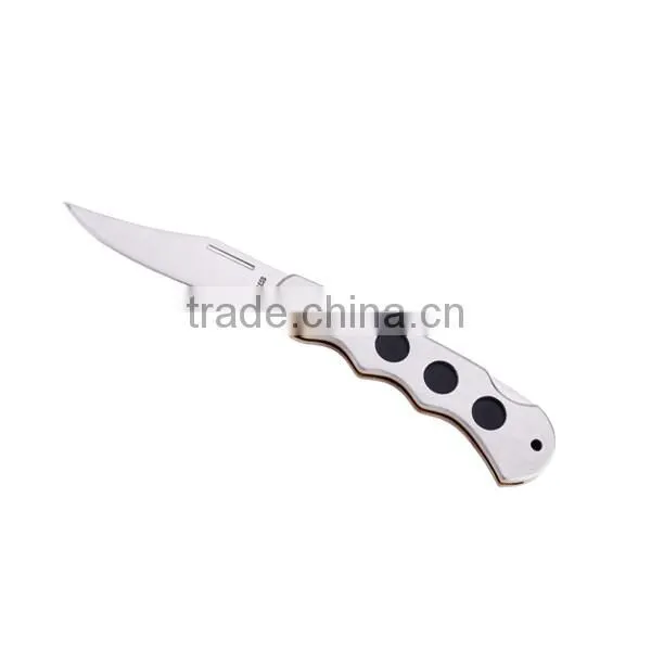 A21-1034 Stainless Steel Blade Liner Lock Folding Knife