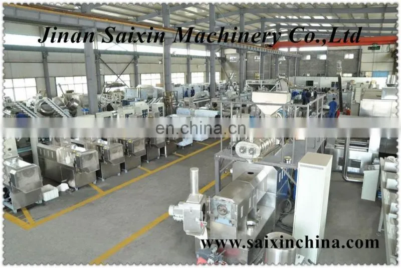 Continous fryer