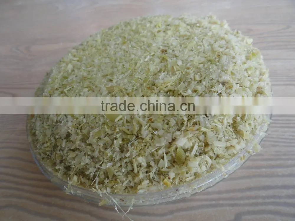 Frozen Lemongrass / Fresh lemongrass / Lemongrass Vietnam