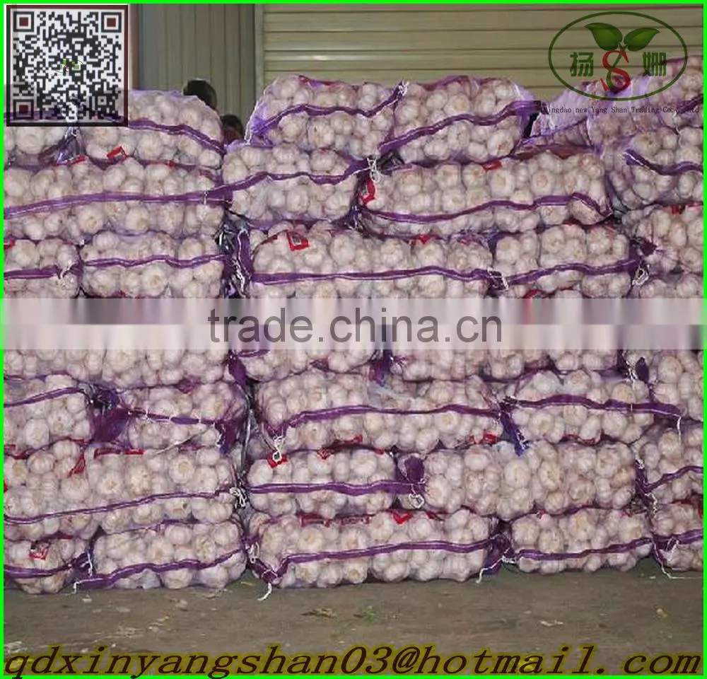 2015 SUPER GARLIC NEW CROP/Fresh Garlic