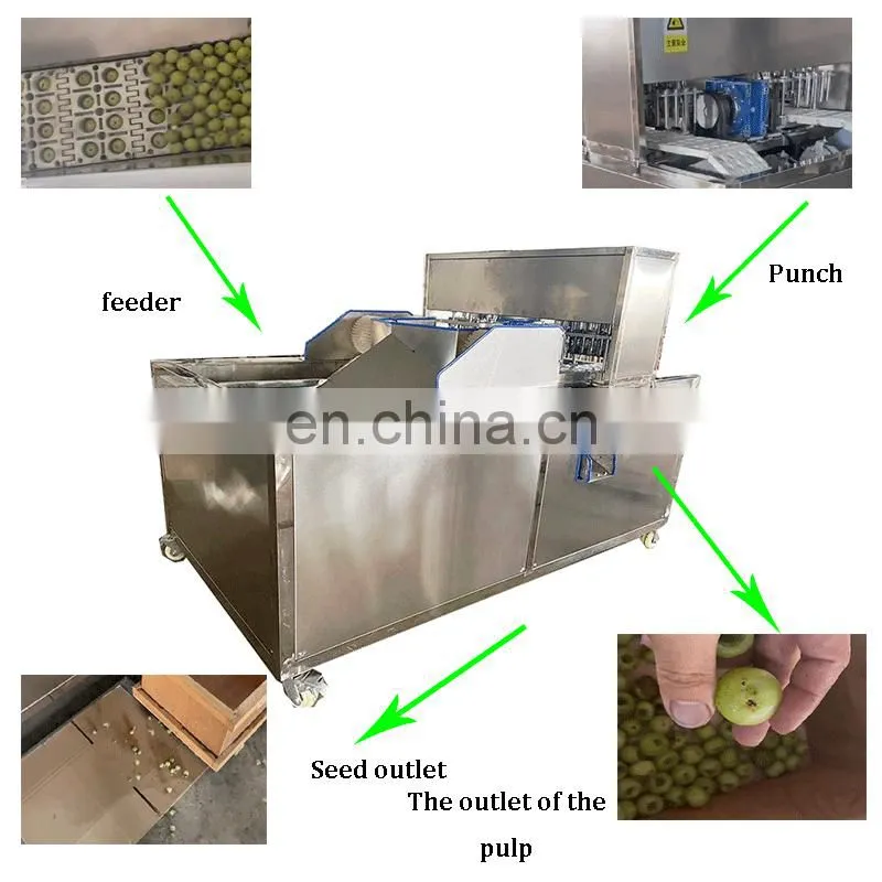 Peach Longan Cherry Sweet Date Olive Prune Destone Cherry Avocado Seed Removing Machine