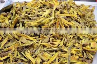 contiunous drying mango chips processing plant