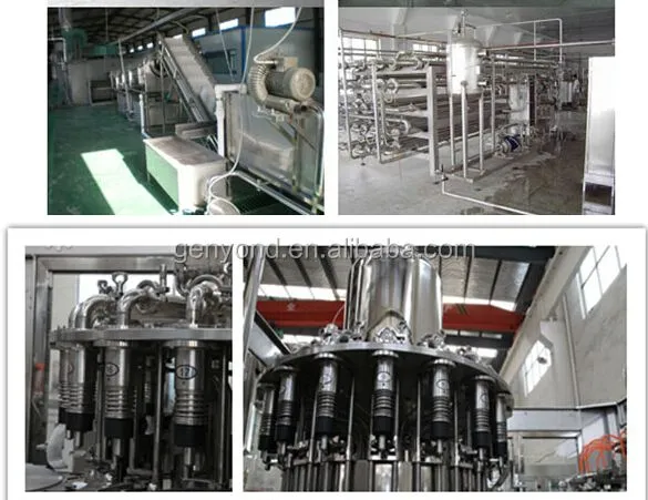 Good Price Automatic Commercial apple Juice Production Line Auto Complete Industrial apple Juice Processing Plant for Sale
