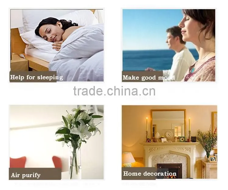 Popular 100ml home fragrance aroma reed diffuser