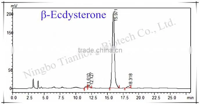 2015 Manufacturer Pure Natural High Qulity Suma Extract, Pfaffia Paniculata Extract, Brazilian Ginseng Extract