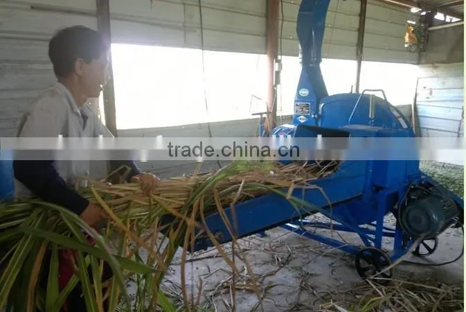 Cattle/sheep feed chaff cutter for hay
