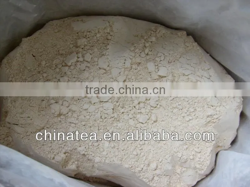 High Quality Dehydrated Garlic Powder