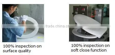 Easy operated automatic toilet seat for elderly
