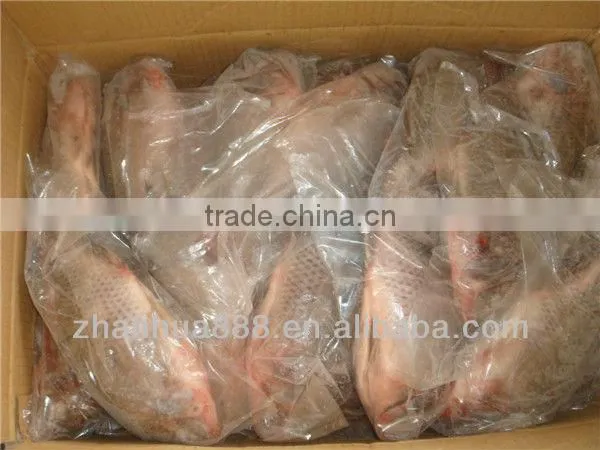 frozen seafood IQF tilapia fish whole round supply