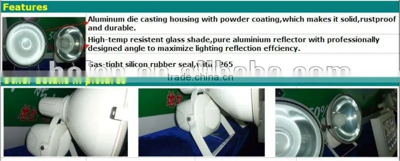 flood light explosion proof luminaire