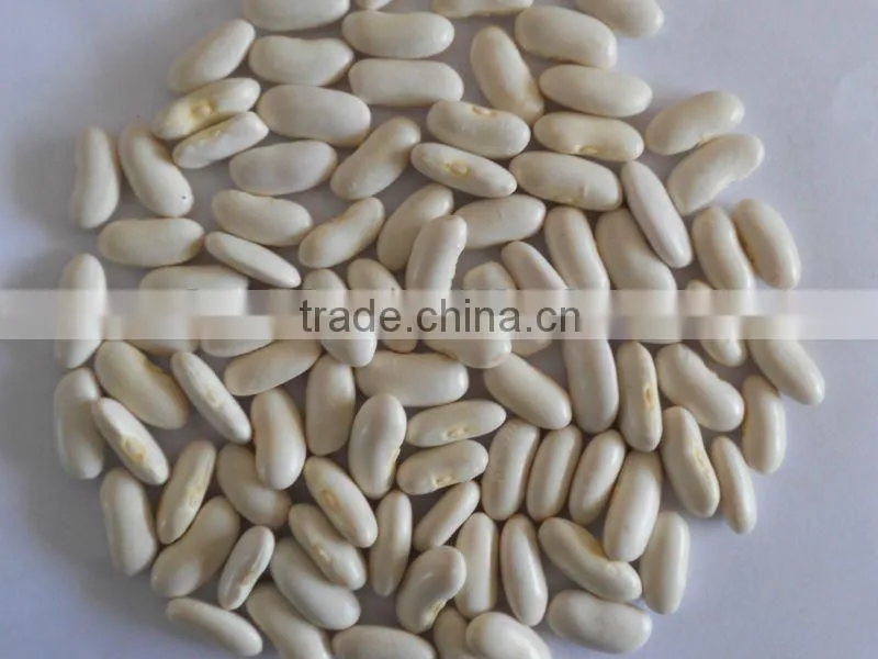45-65 Yunnan large white kidney bean