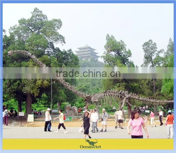 Museum exhibition dinosaur skeleton fiberglass fossil replica