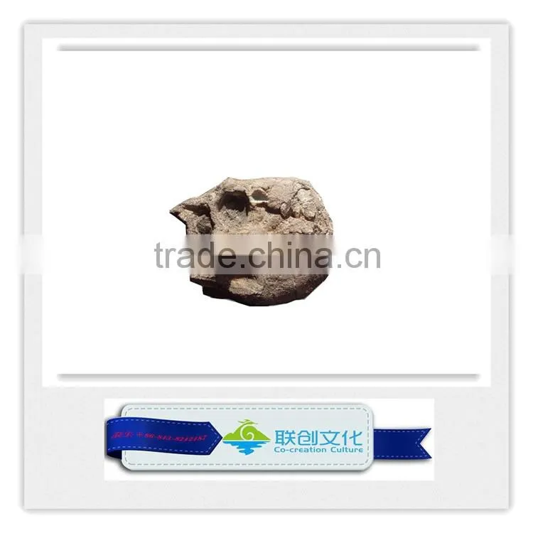 Artificial dinosaur type wall mounted dinosaur head