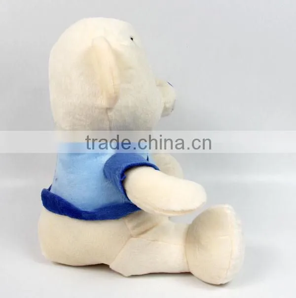 Luckiplus Hot Sale First Class Pink Girl and Blue Boy Bear Safe Technology Toy For Kids