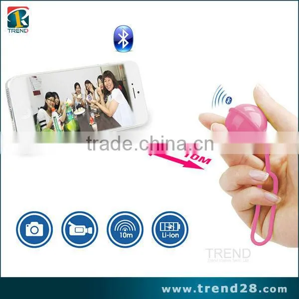 TC-SE002 plastic bluetooth rolling roller shutter