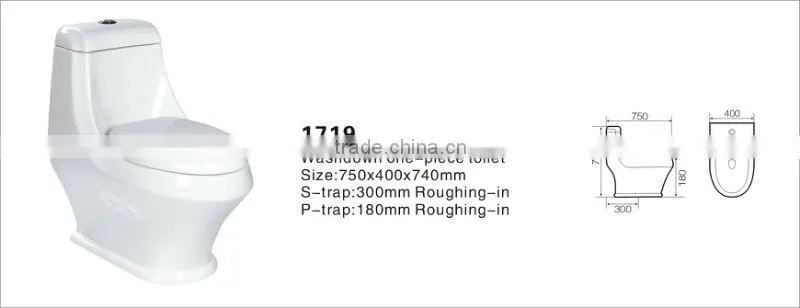 1719 washdown toilet
