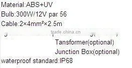 IP68 waterproof standard swimming pool waterproof light used in water
