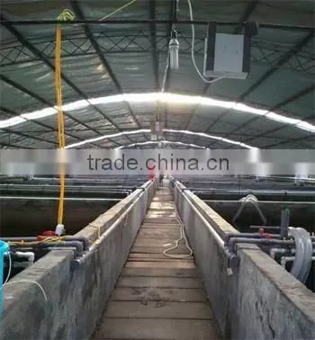 Psa Oxygen Generator Psa Oxygen Production Generator for Fish Farm