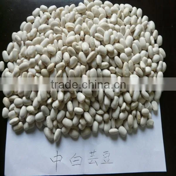 White kidney bean for sale
