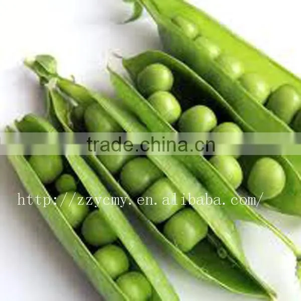 health food canned food green peas