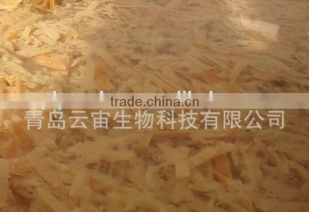 Biological Fertilizer Chitosan