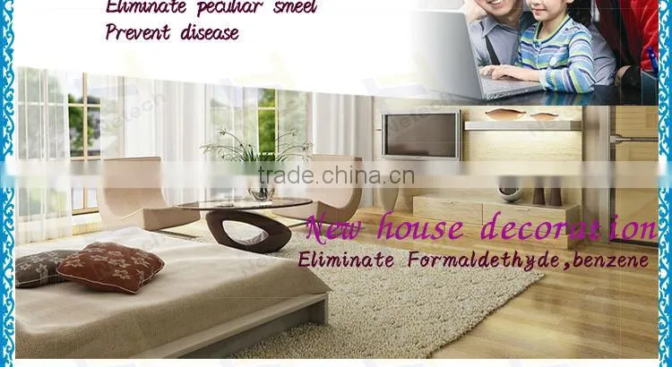 Factory price portable 3g 5g air purifier ozone generator