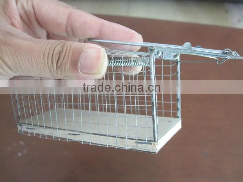 Cheap Galvanized Steel Mouse Trap Cage