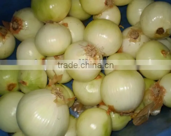 Peel Onion-by Completely Automatic Onion Peeler