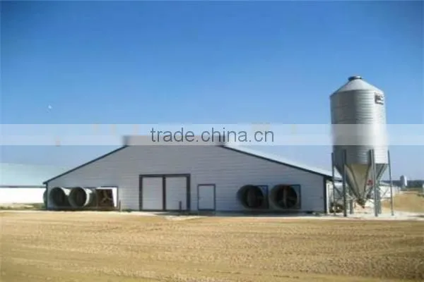 Industrial steel structure design poultry farm shed chicken house for layers