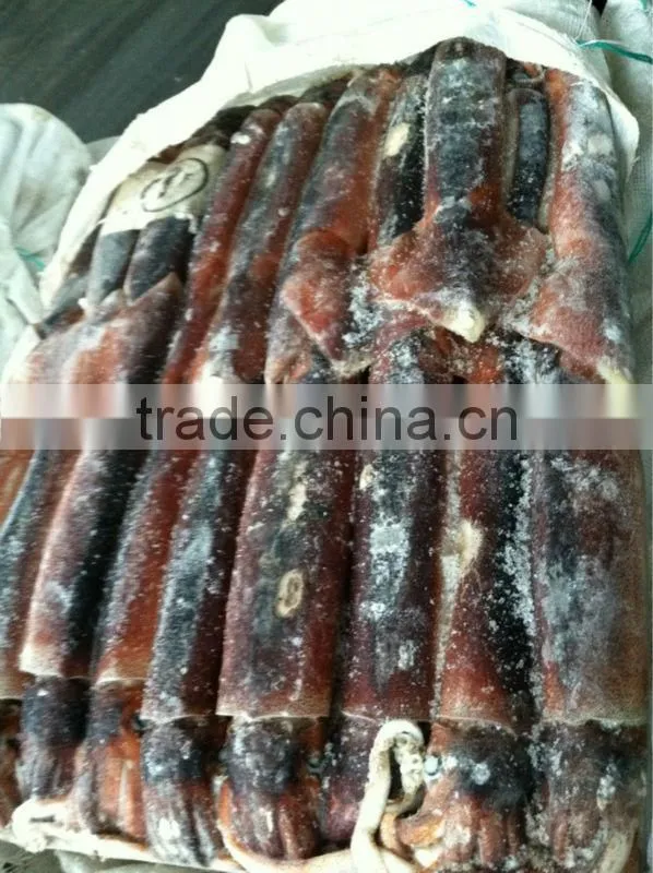 200-300G Frozen Argentina Illex Squid