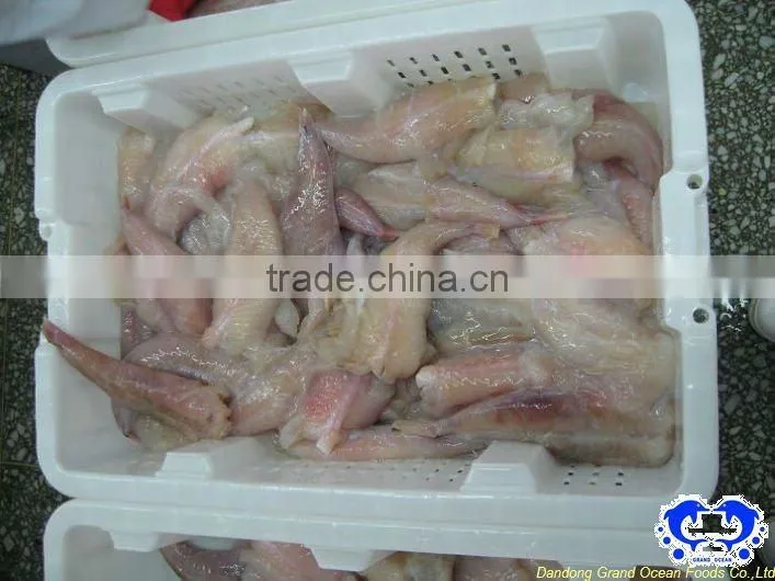 frozen monkfish tail meat