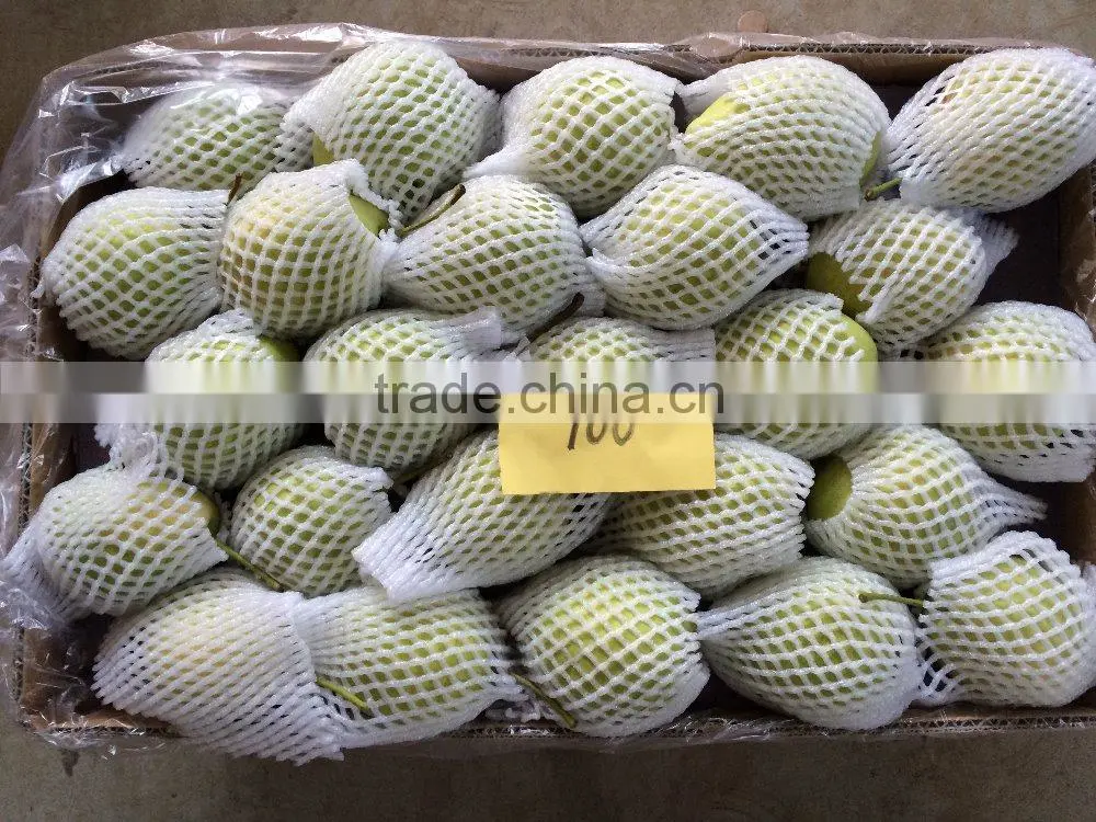 Good Qulity Fresh Shandong Pear Export To India