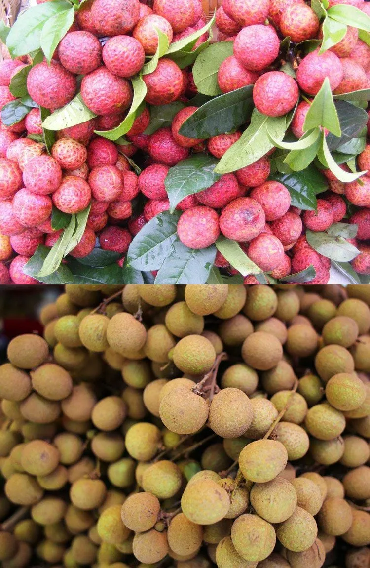 Lichi Lichee Leechee Litchi Lychee Peeling Seed Removing Machine