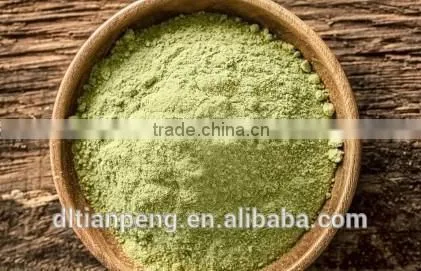 Factory directly sale wasabi powder 1kg for sashimi