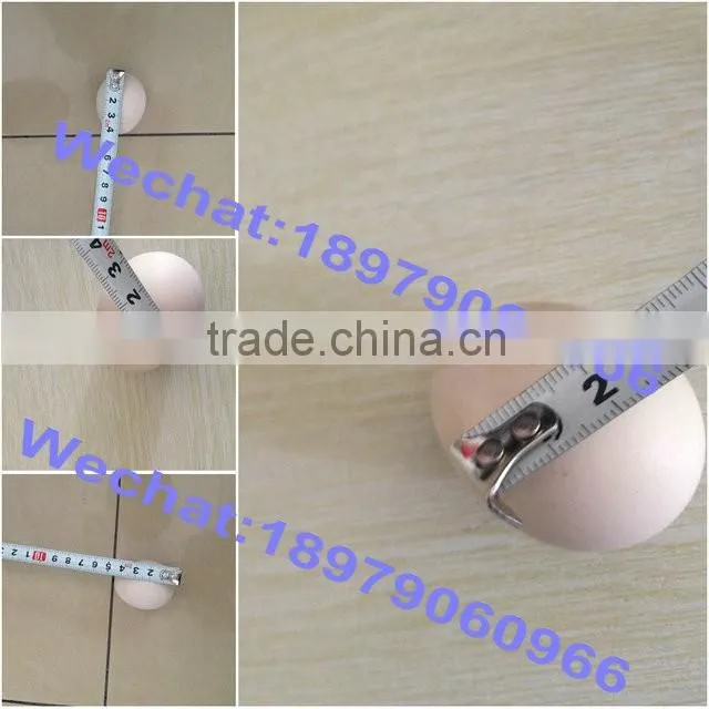 Automatic egg liquid seperator/food processing machine/Food Industry Equipment