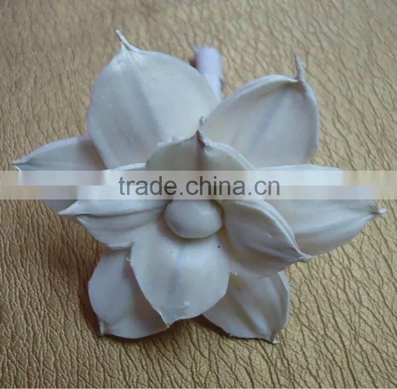 sola flower diffuser