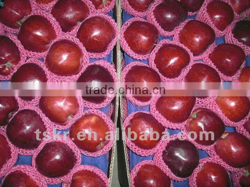 fresh apple of fruit vegetable