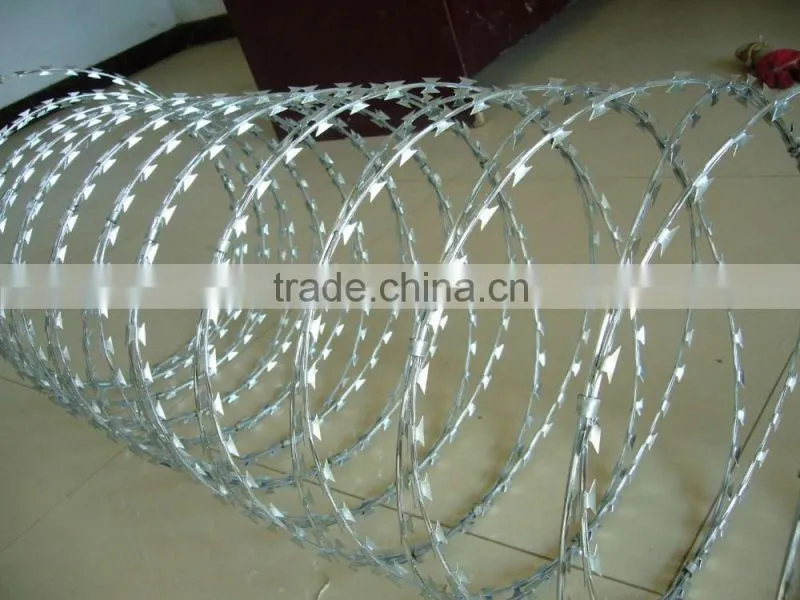 razor barbed wire /razor wire CBT-65/razor wire fence/concertina razor fence factory