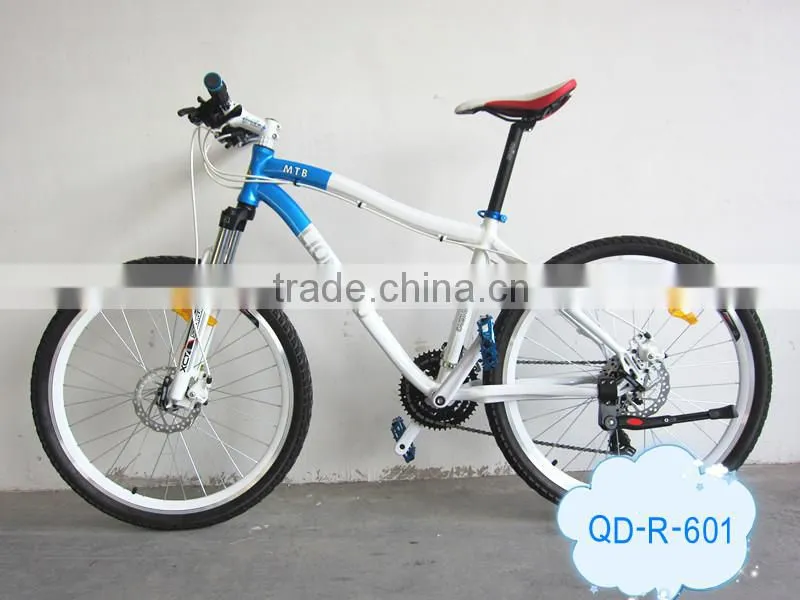 LIONHERO 2013 LOVERS MTB & BICYCLE
