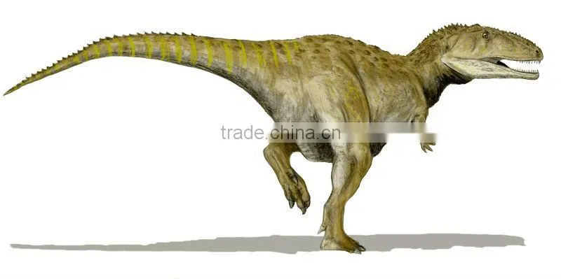 National Museum Quality High Simulaiton Dinosaur Skeleton