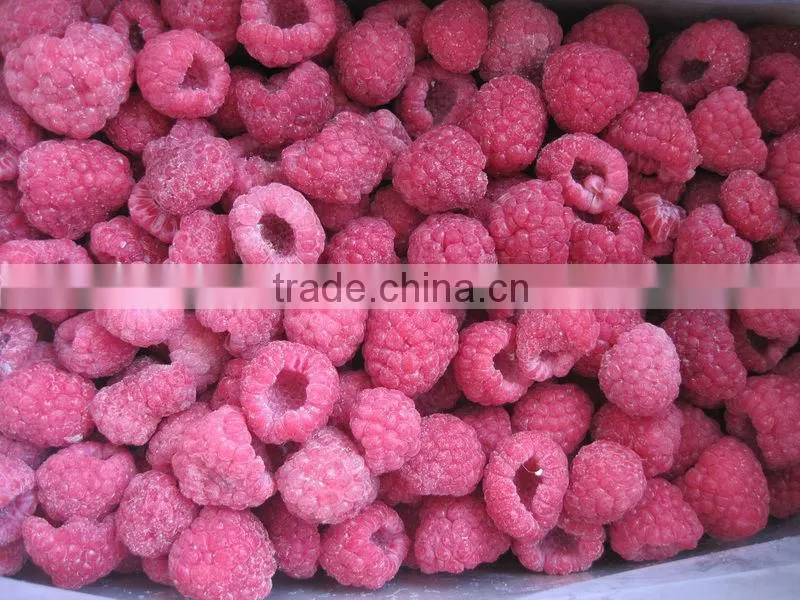 5% Broken Extra Quality IQF Raspberry Whole
