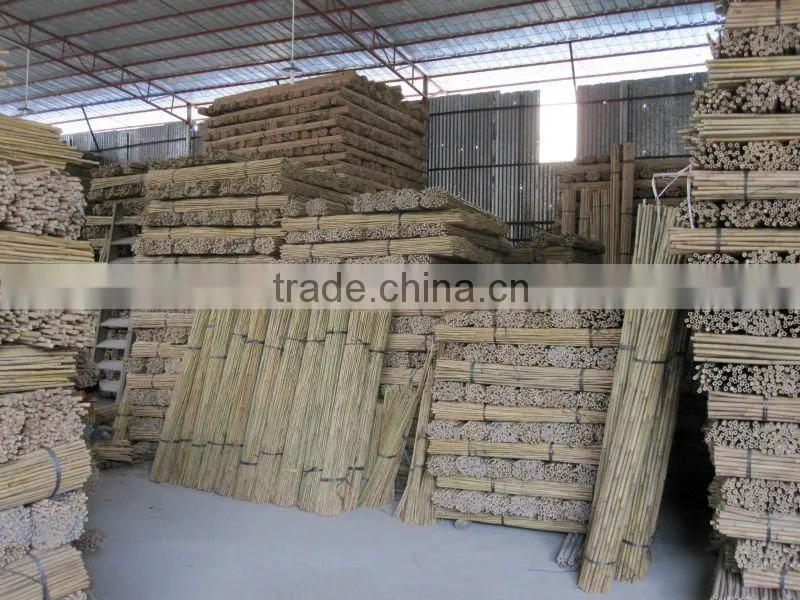 Tonkin Bamboo Stake - Bamboo cane - Natural Bamboo cane