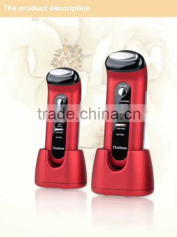 Galvanic beauty facial cleaning brush manufactures