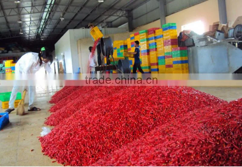 chili Peppers