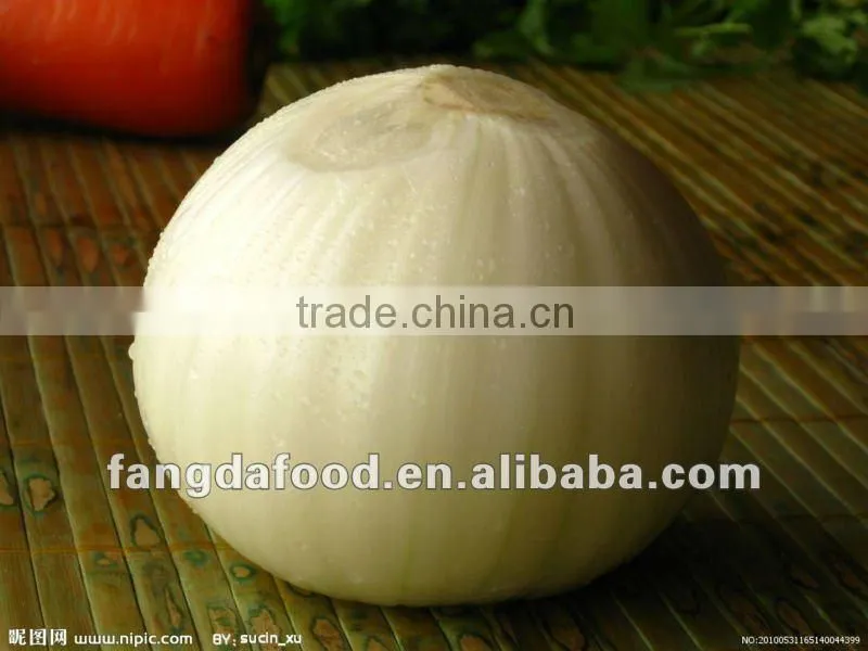 fresh yellow onion(in low price)